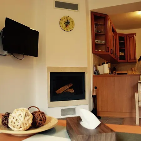 U Lipna Apartment *
