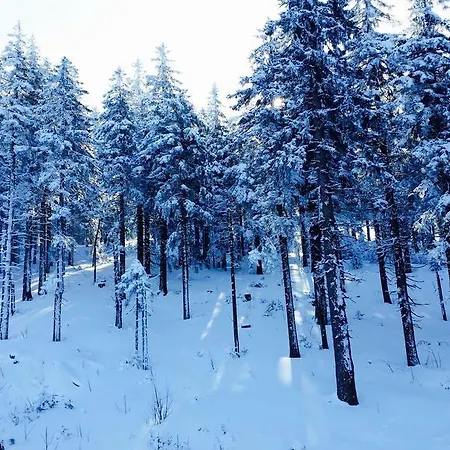 U Lipna Appartement *